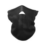 Face Mask (FM-43)
