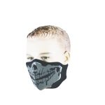 Face Mask (FM-66)