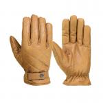Winter Gloves (WG-197)