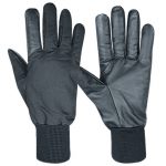 Winter Gloves (WG-254)